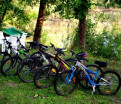 Велопрогулки в лесу, рядом с базой отдыха «Орельский Двор».