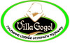 Villa Gogol