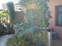 Сдается котедж на 5 номеров в Судаке