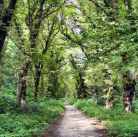 Згуровский парк