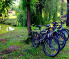 Развлечения на базе отдыха "Орельский Двор", квадроциклы и велосипеды.