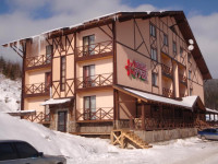 Червона рута